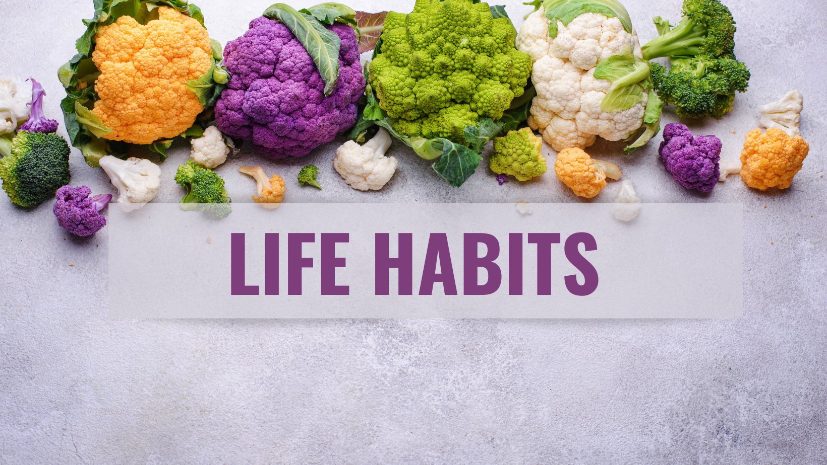 Life Habits cover (1)